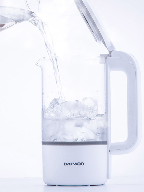 Electric kettle DY-D1